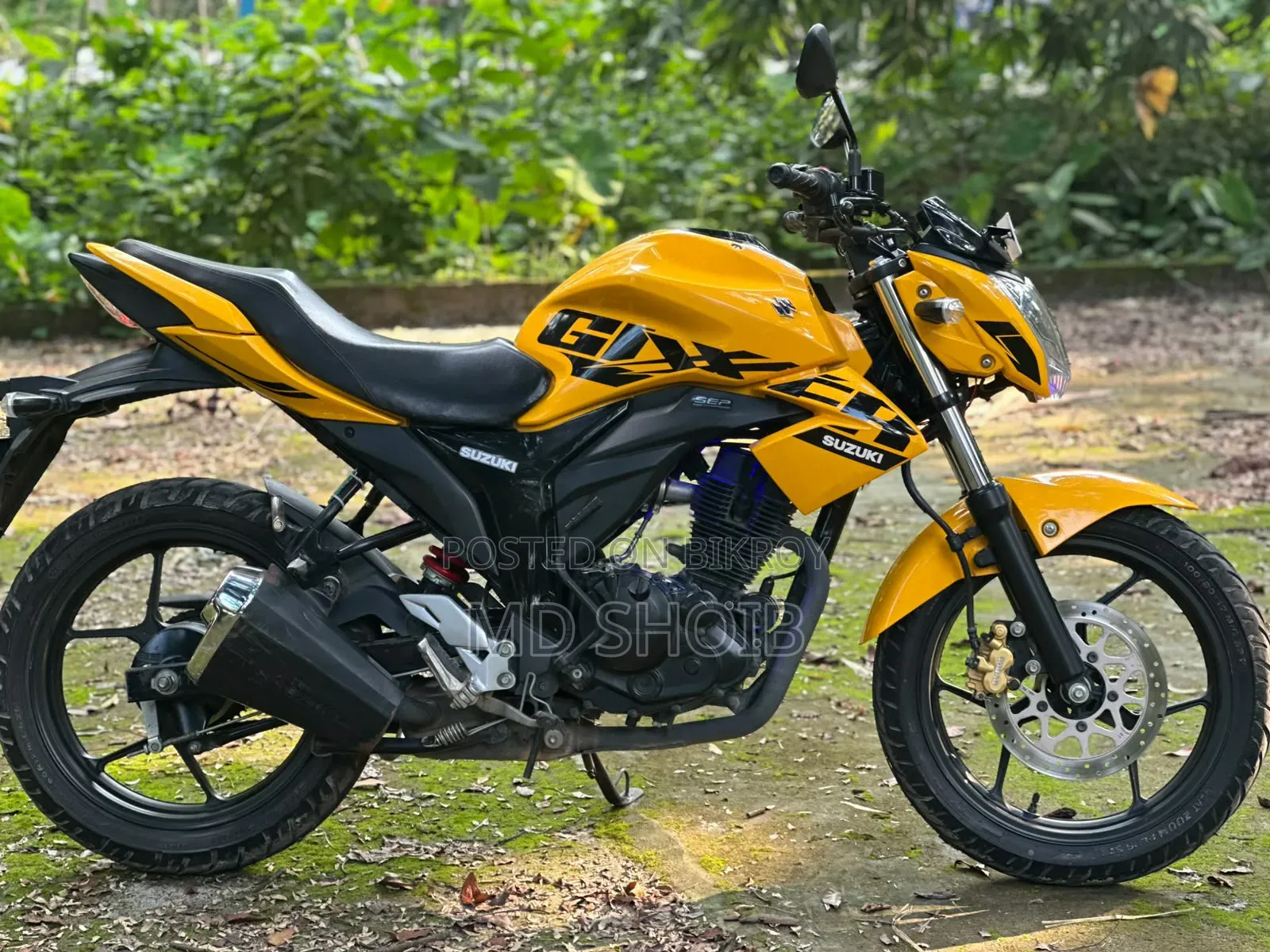 নতুন সুজুকি জিক্সার ২০২৫ হলুদ