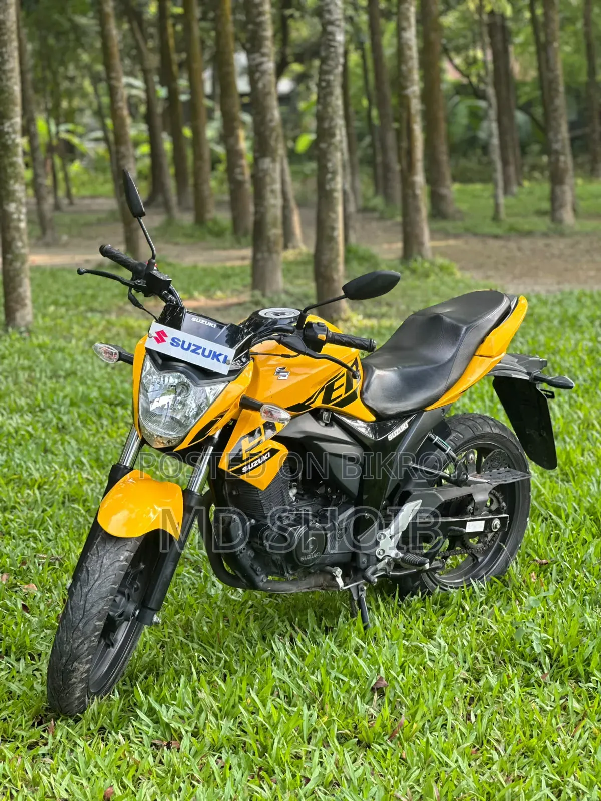 নতুন সুজুকি জিক্সার ২০২৫ হলুদ