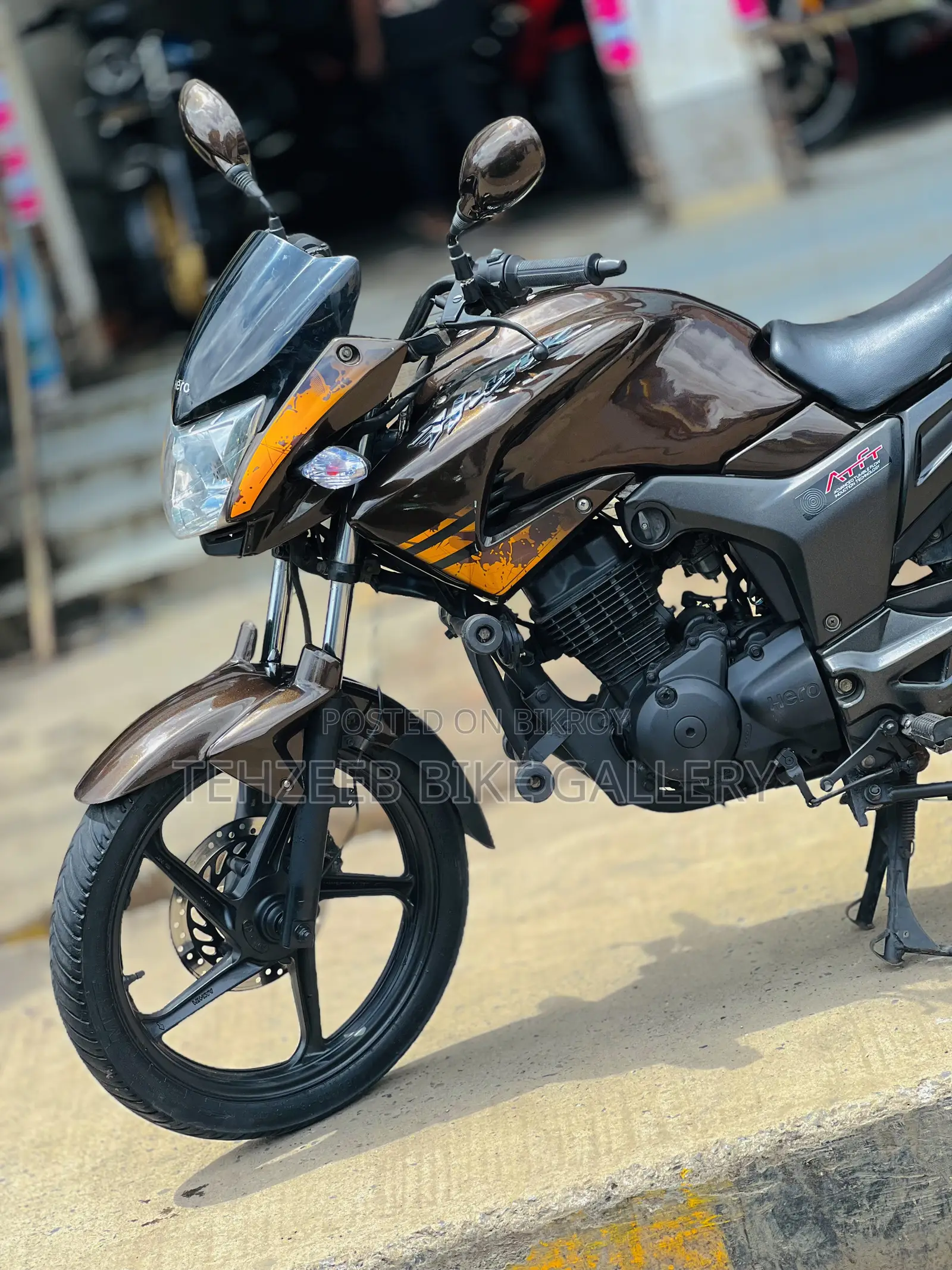হিরো হাংক ২০১৮ ব্রাউন