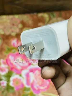 Original iPhone Charger