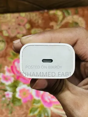Original iPhone Charger