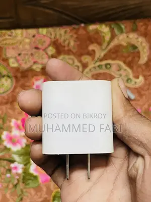 Original iPhone Charger