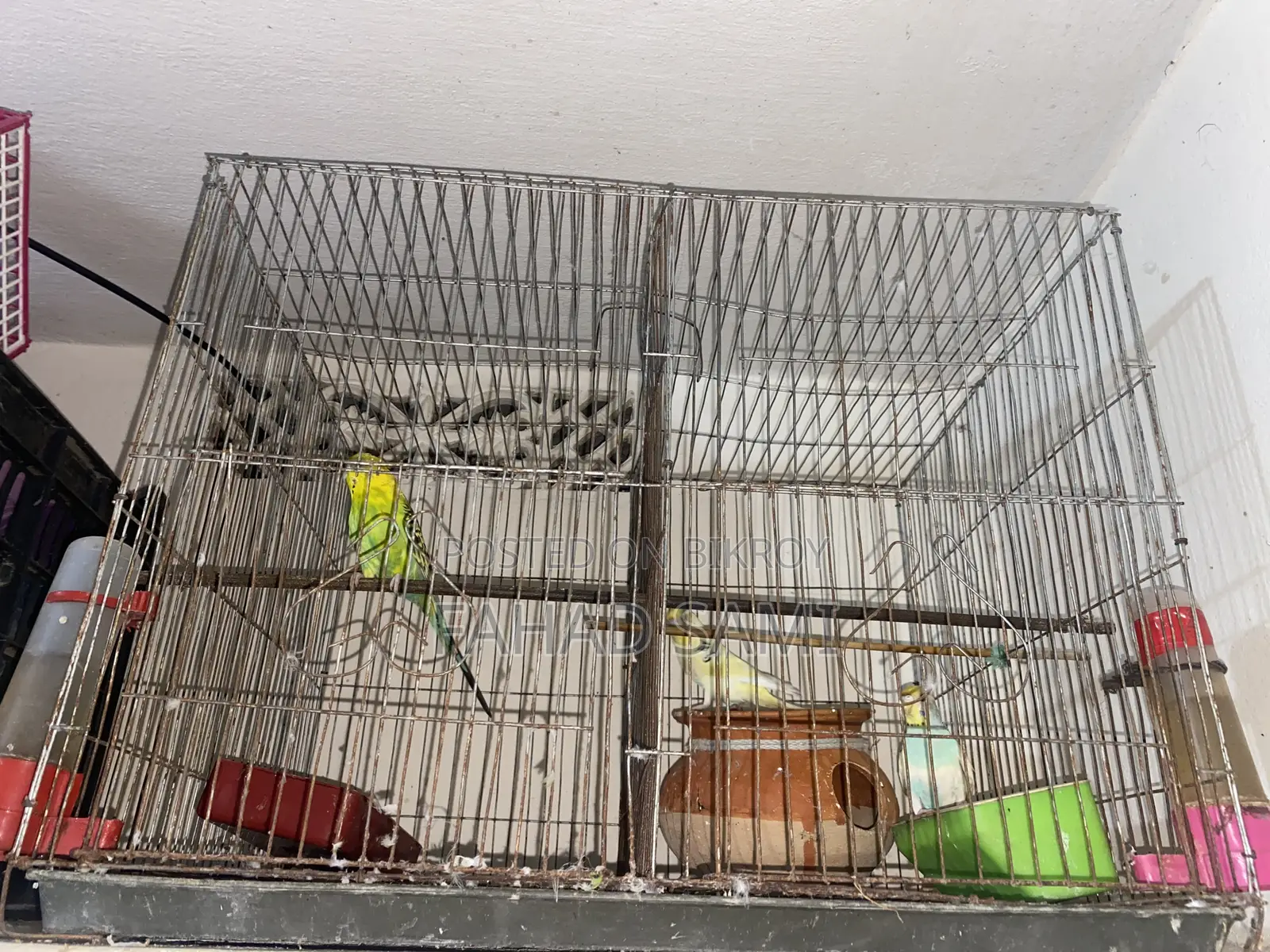 Running 1 year + Female One Piece