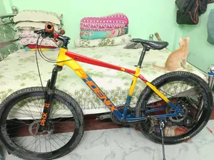 Phoenix Harod 01