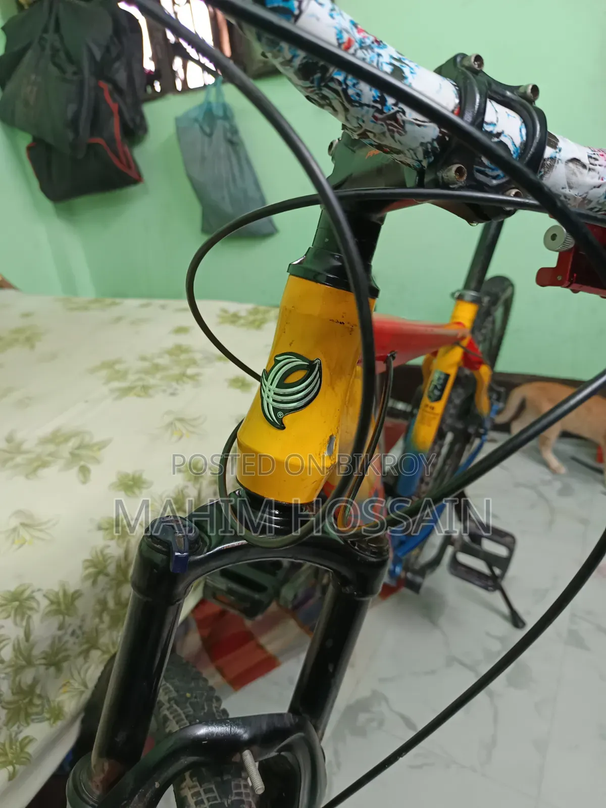 Phoenix Harod 01