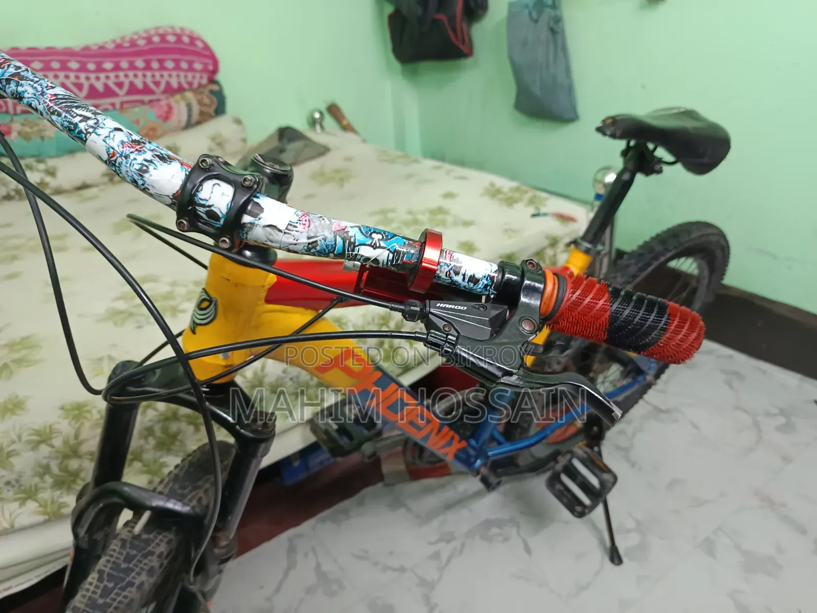 Phoenix Harod 01