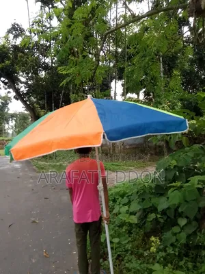 Very Big Umbrella (বড় ছাতা)