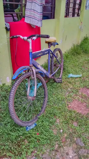 Normal bicycle will be sold