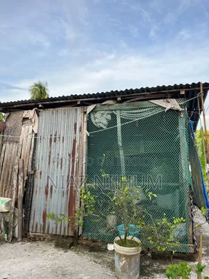 মুরগি,হাস ও কবুতরের ঘর ফর সেল