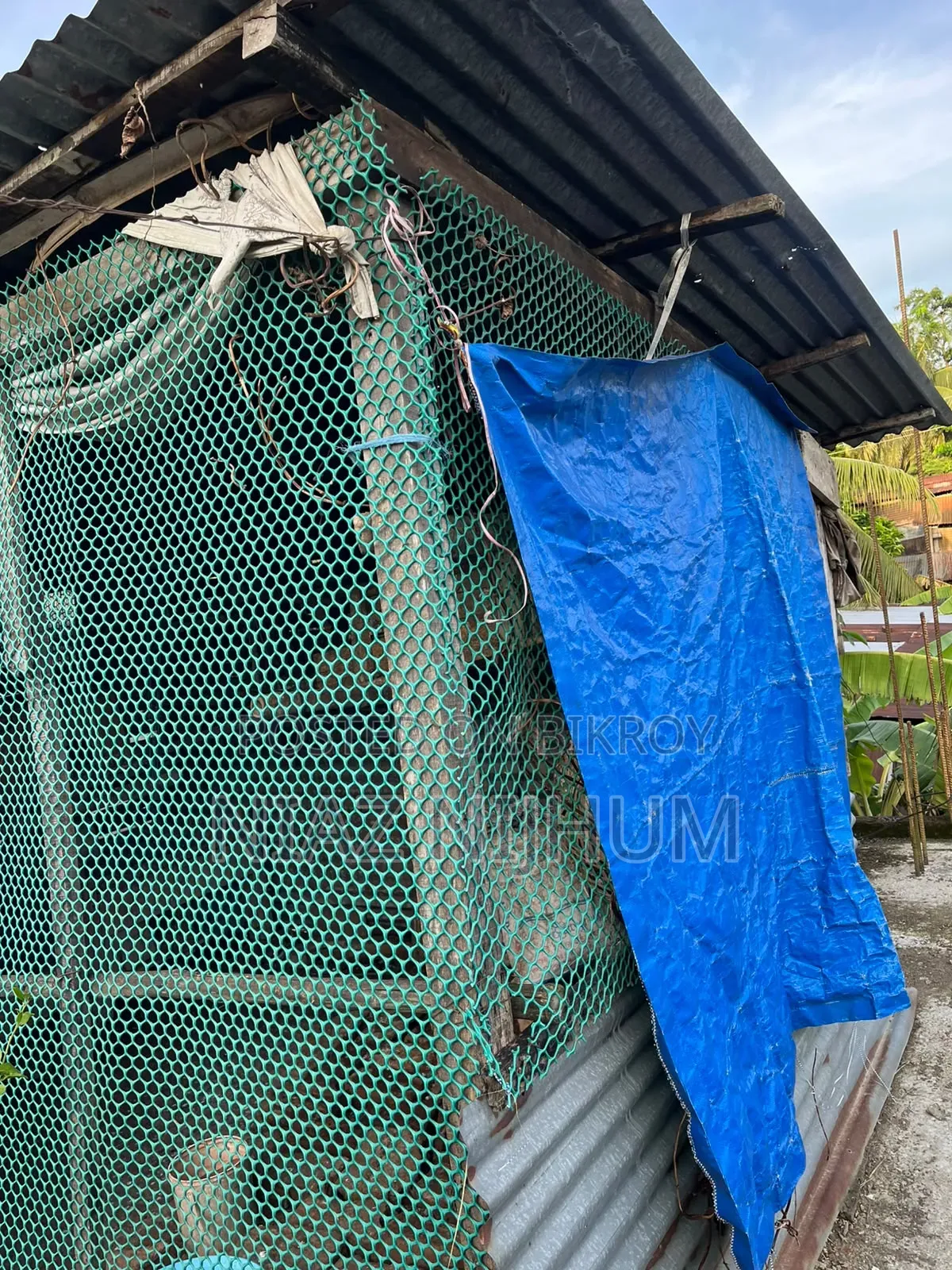 মুরগি,হাস ও কবুতরের ঘর ফর সেল
