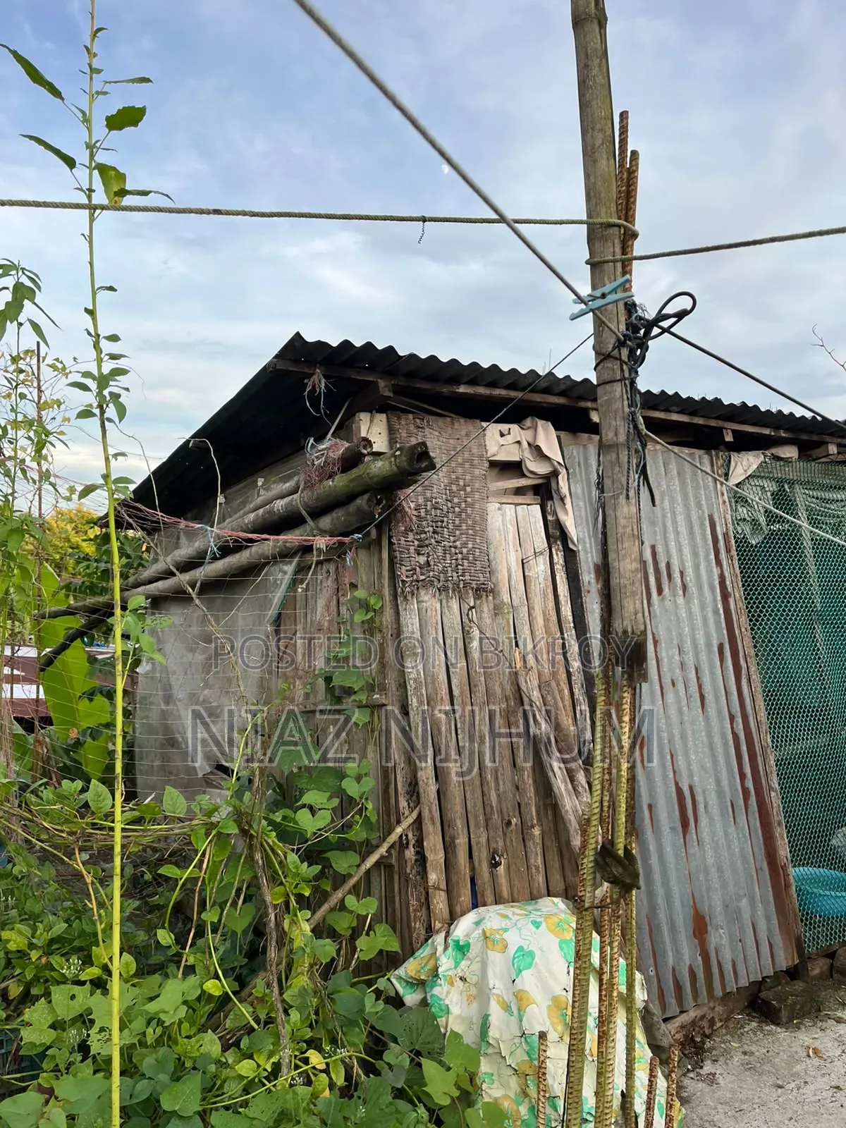 মুরগি,হাস ও কবুতরের ঘর ফর সেল