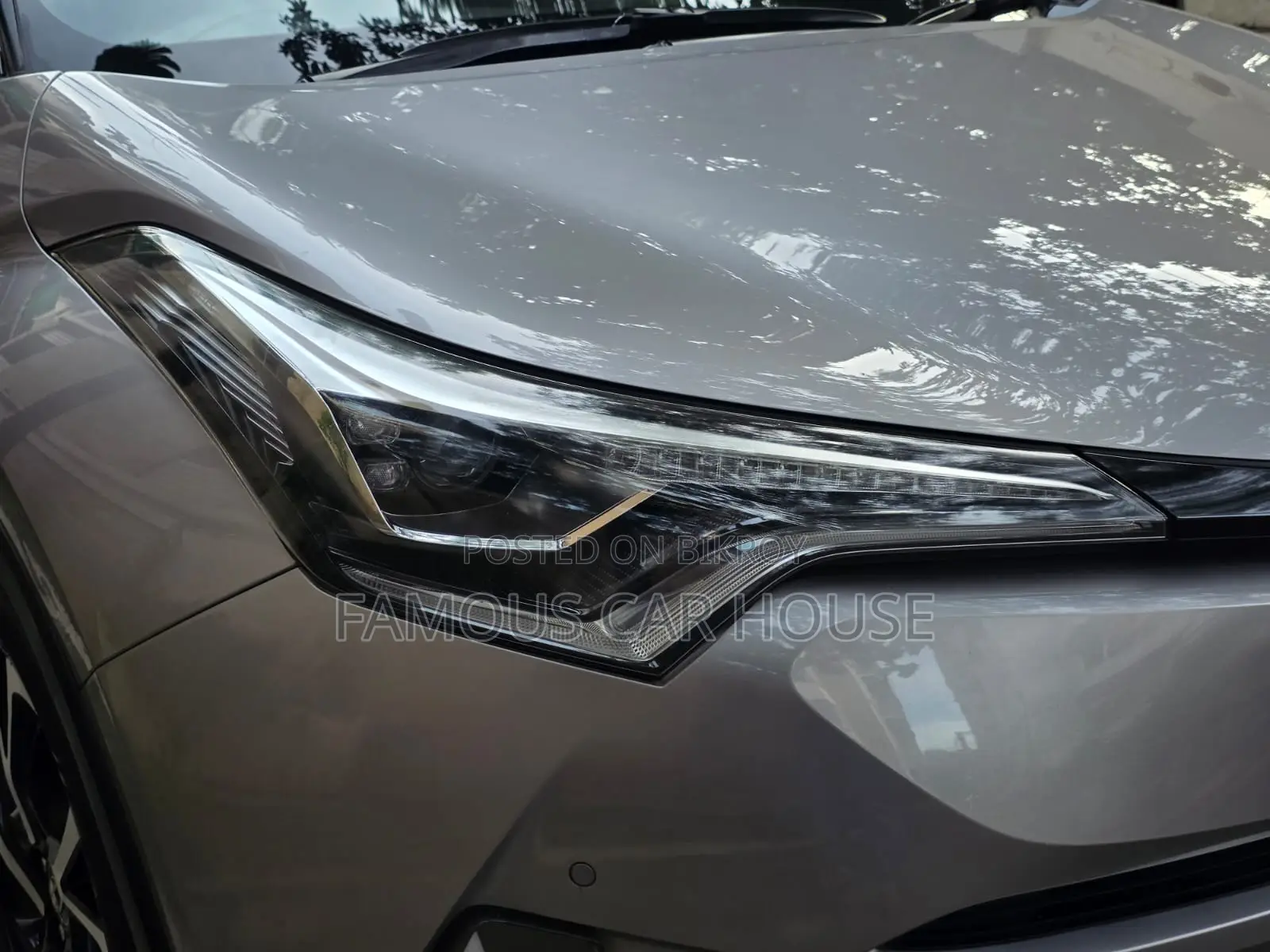 Toyota C-HR 2017 Gray