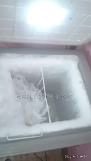 শার্প ডিপ ফ্রিজ