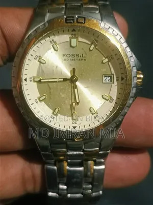 Fossil (AM-3886)