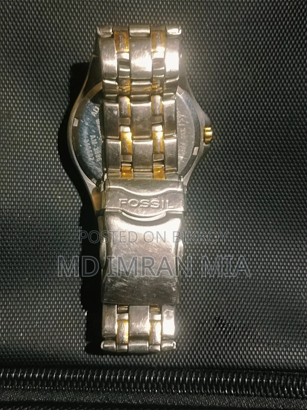 Fossil (AM-3886)