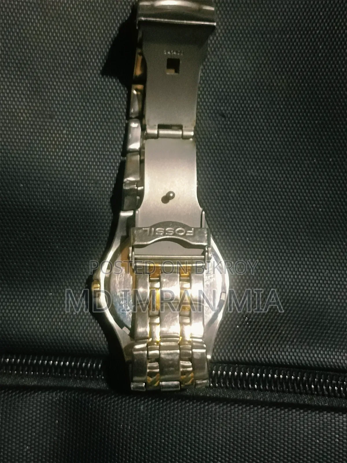 Fossil (AM-3886)