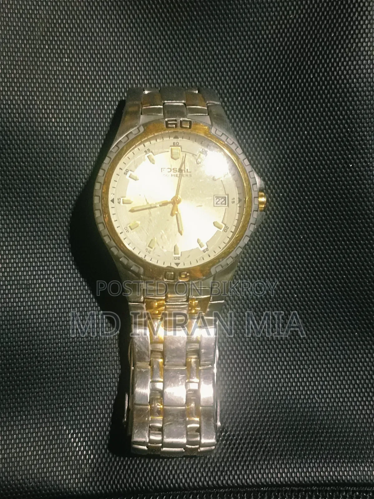 Fossil (AM-3886)