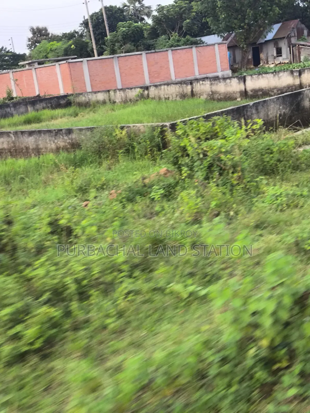 সেক্টর:১৫,রোড:৪০৫,প্লট:০০,পূর্বাচল।