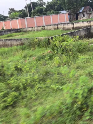 সেক্টর:১৫,রোড:৪০৫,প্লট:০০,পূর্বাচল।