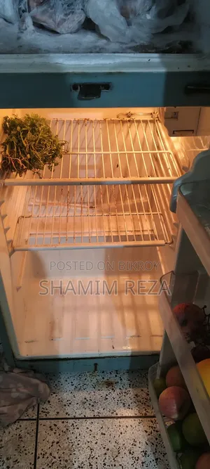 এই ফ্রিজটি বিক্রি হবে