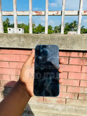 নিউ অ্যাপল আইফোন ১২ ১২৮ জিবি ব্লু