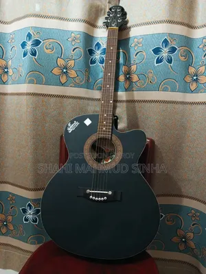 Signature Indian Guitar
