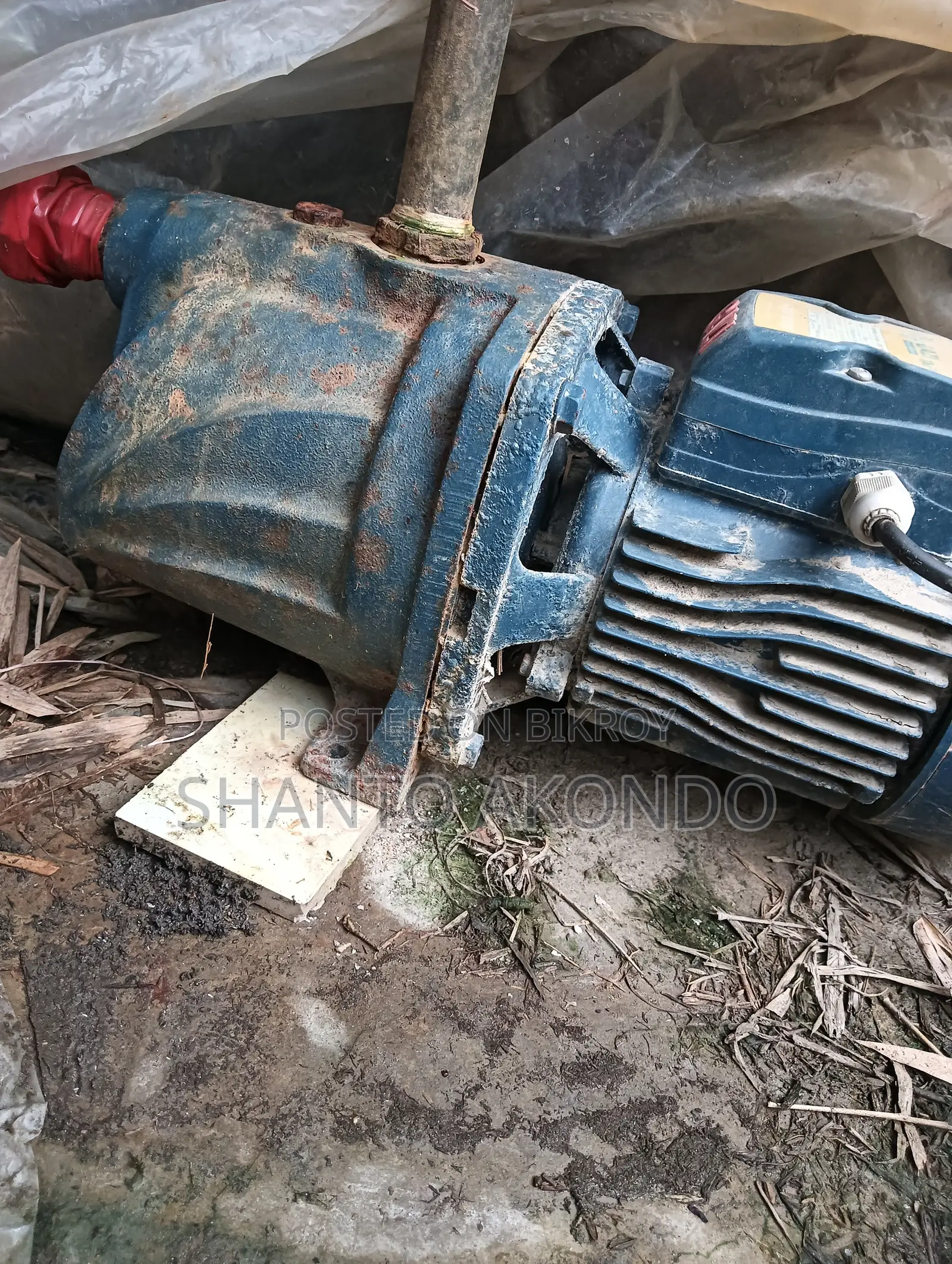 ACI Motor Pump