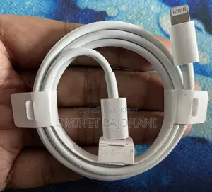 Apple Type C to Lightning Cable Fast Charging