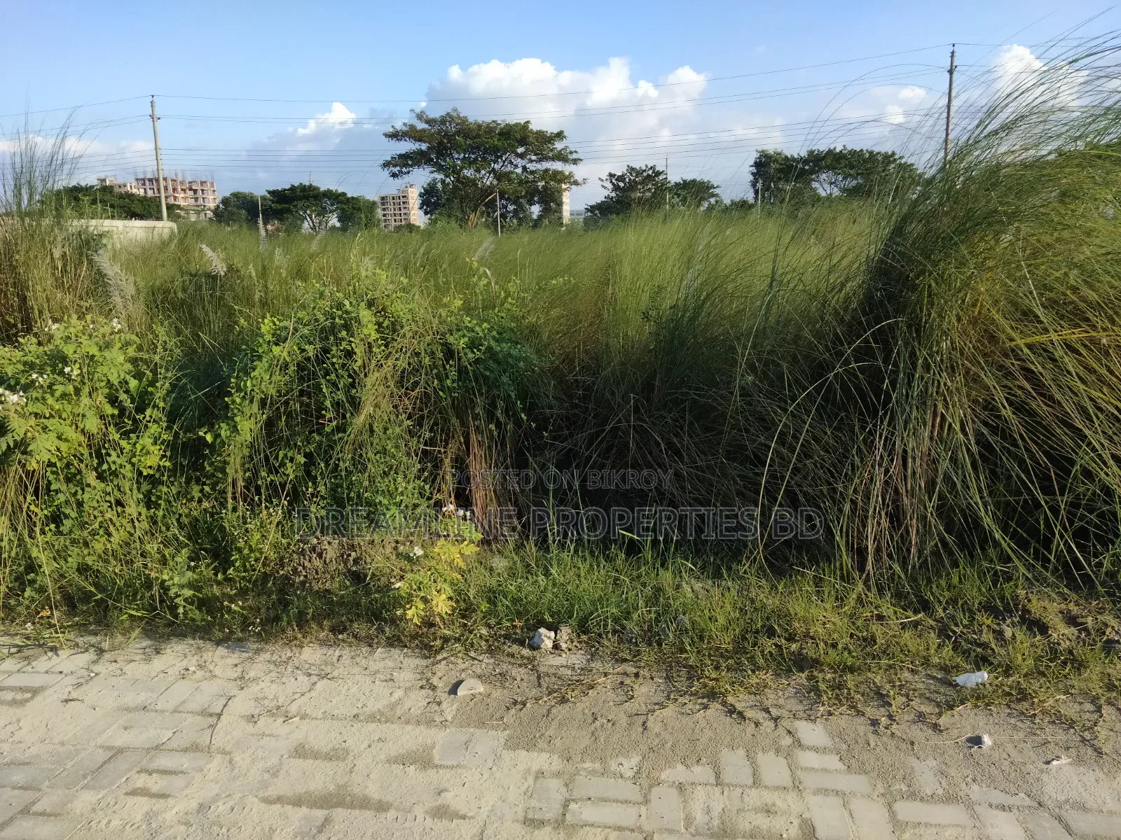 এন-ব্লকে ৫ কাঠার প্লট জরুরী বিক্রয় বসুন্ধরা আবাসিক এলাকায়
