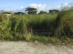 এন-ব্লকে ৫ কাঠার প্লট জরুরী বিক্রয় বসুন্ধরা আবাসিক এলাকায়