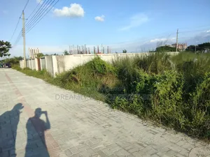 এন-ব্লকে ৫ কাঠার প্লট জরুরী বিক্রয় বসুন্ধরা আবাসিক এলাকায়