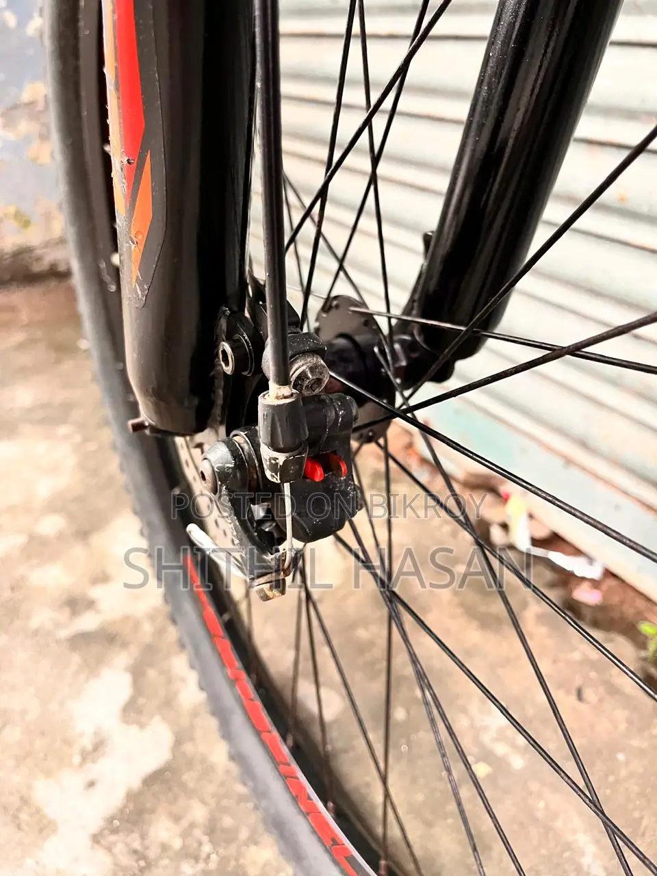 Veloce Slayer 1.0 for Sale
