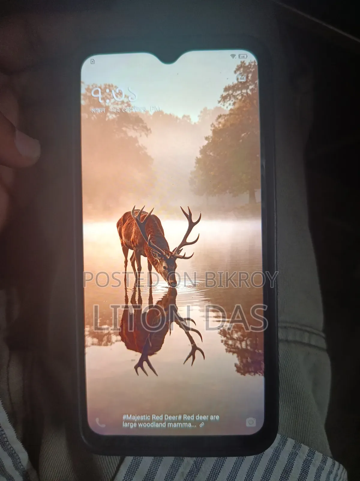 Vivo Y11 32 GB Blue