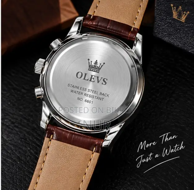 আপনার হাতের সৌন্দর্য বাড়াতে প্রিমিয়াম OLEVS Luxury Watch