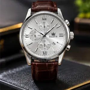 আপনার হাতের সৌন্দর্য বাড়াতে প্রিমিয়াম OLEVS Luxury Watch