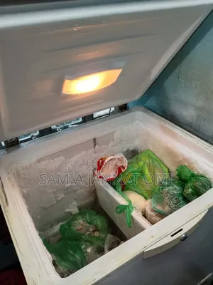 Singer Deep Fridge 200 Liter