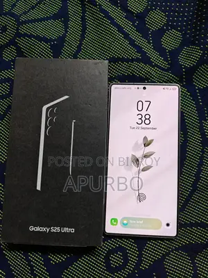 Samsung Galaxy S25 Ultra 256 GB Silver
