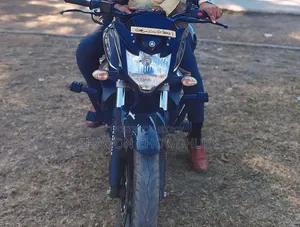 Yamaha FZS V2 2024 Gray