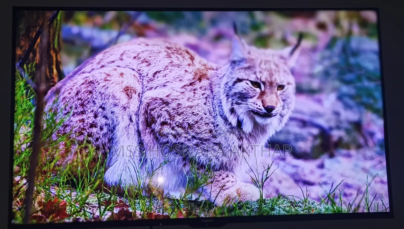 Vision 43 Inse Google Smart Android Voice Control TV