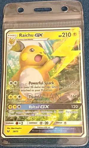পোকেমন কার্ড (Pokemon Card)