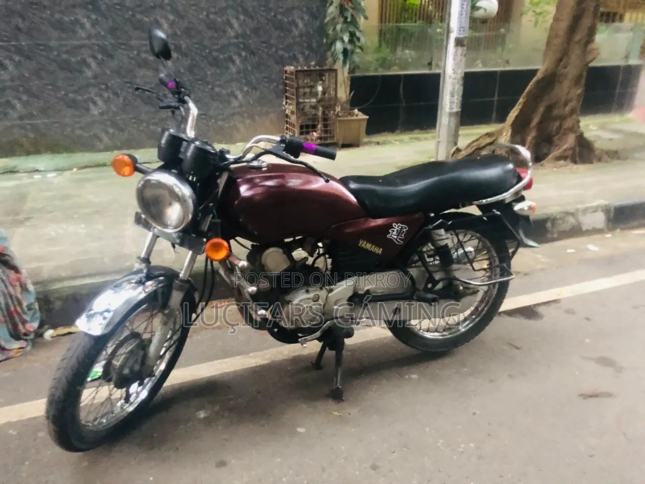 Yamaha Crux 2002