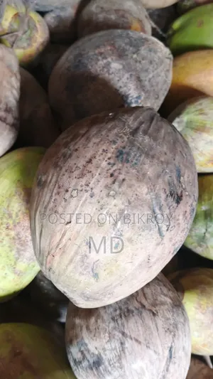 Large sized coconuts available, contact in inbox