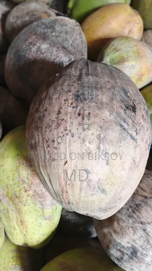 Large sized coconuts available, contact in inbox