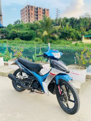 Runner Kite + 110 2018 Blue