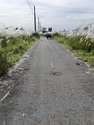 ব্লক-এন, পার্কের খুবই কাছে, বাজার প্রতিদিন সেন্ট্রাল মসজিদ,