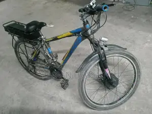Electric Bicycle