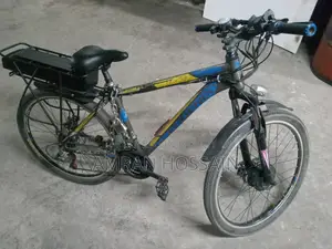 Electric Bicycle