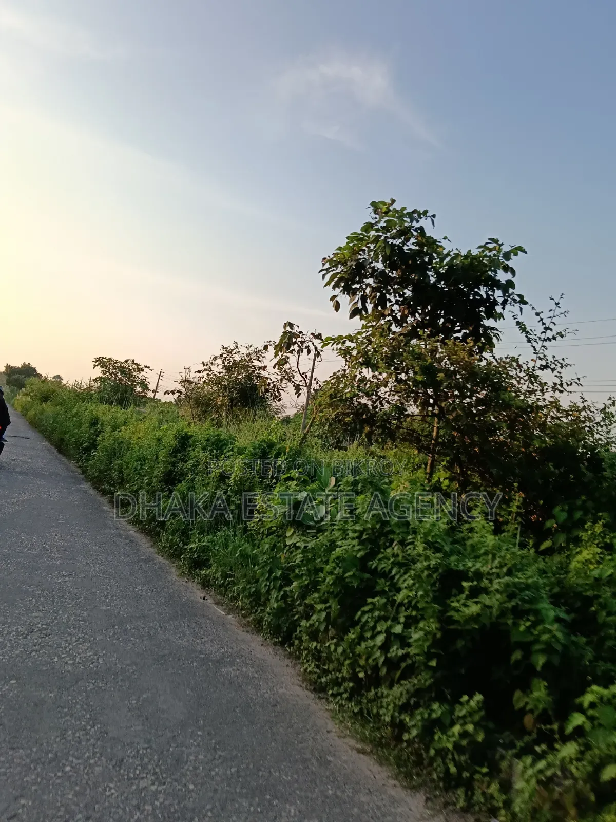 সেক্টর-১৫ই, ডি.পি.এস স্কুল, মেট্রো স্টেশন।