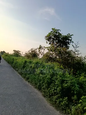 সেক্টর-১৫ই, ডি.পি.এস স্কুল, মেট্রো স্টেশন।