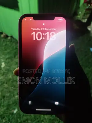 অ্যাপল আইফোন ১২ প্রো ম্যাক্স ১২৮ জিবি গ্রে